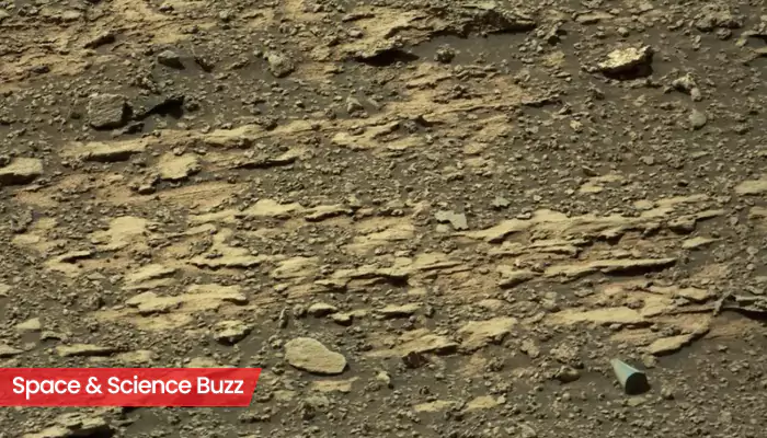 Science & Space Roundup: Top News of the Day (March 16)