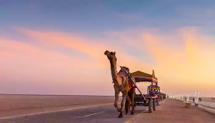 Exploring Gujarat: Top Tourist Attractions You Can’t Miss