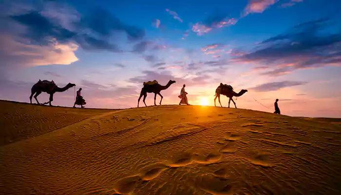 Top Things to Do in Rajasthan for an Unforgettable Trip