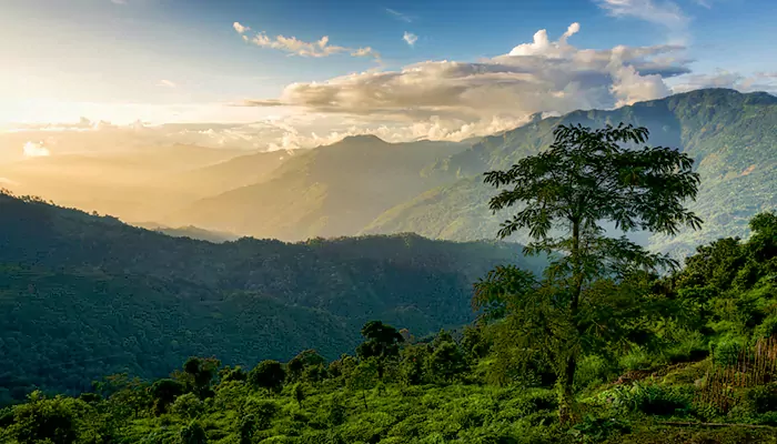 A Travel Guide to Bandel, West Bengal