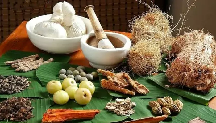 Ancient Ayurvedic Wisdom for Modern August Wellness
