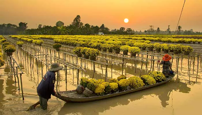 Attractions of Rural Vietnam: A Journey Through Its Hidden Wonders