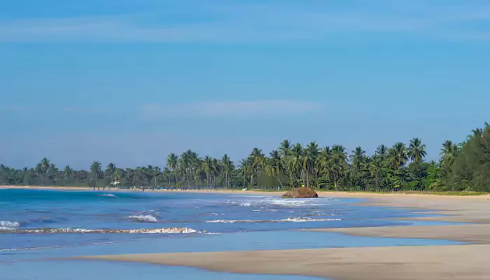 Beaches And Beyond: Discovering Sri Lanka’s Hidden Coastal Gems