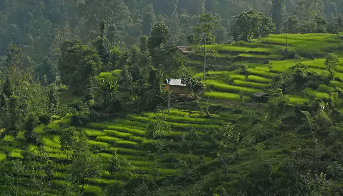 Discovering the Majestic Rice Terraces of Northern Philippines: A Traveler's Guide