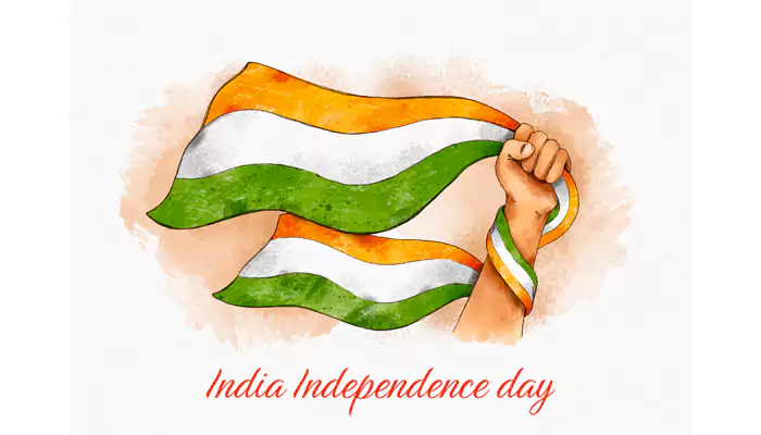 Independence Day 2025: From Rang De Basanti to Sardar Udham — Films That Redefined Patriotism