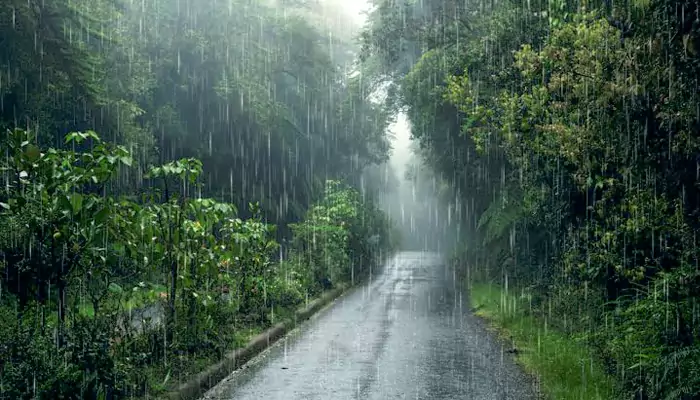 Nostalgic Smells of Rain – Books, Walls & Masala Chai