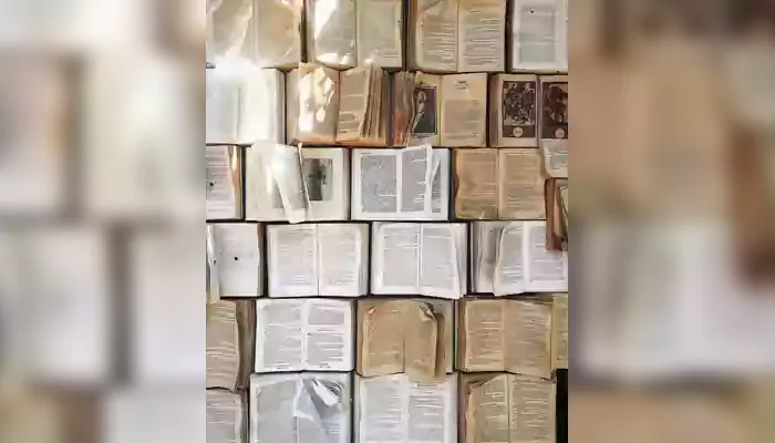 Unlocking the Mystery of Tsundoku: Break the Habit of Buying Books You Never Read!