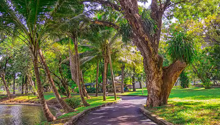 Lumpini Park: A Slice of Paradise in Bangkok