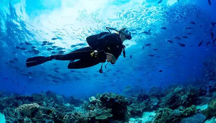 Things you must consider before scuba diving for the first time