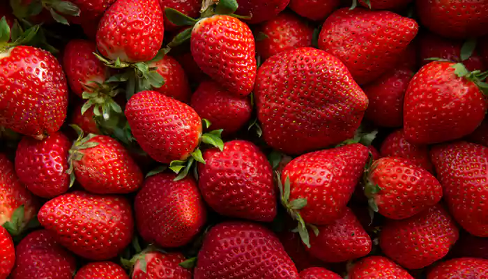 Six Best Strawberry Varieties For Home Gardeners: Grow These In Your Backyard