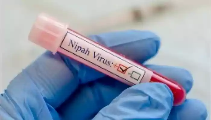 One more patient in Kerala turns Nipah positive, active cases rise to three