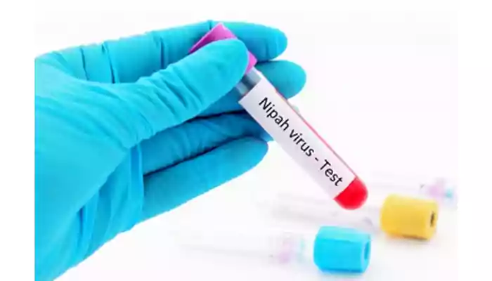 Nipah can spread by droplets, has a fatality rate of 40 to 70%: ICMR
