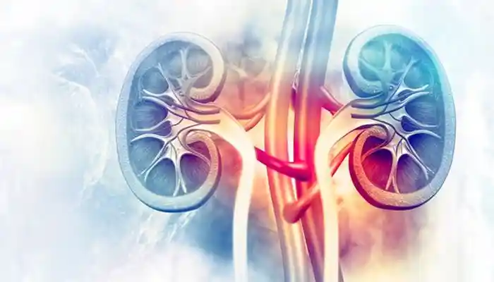 World Kidney Day: The Unsettling Surge of Kidney Stones Among Gen Z and Millennials - Unlocking the Lifestyle Key to Kidney Health